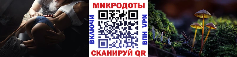 Купить  Можга  Галлюциногенные грибы MAGIC MUSHROOMS 